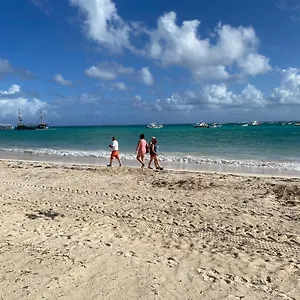 Rosas De Punta Cana