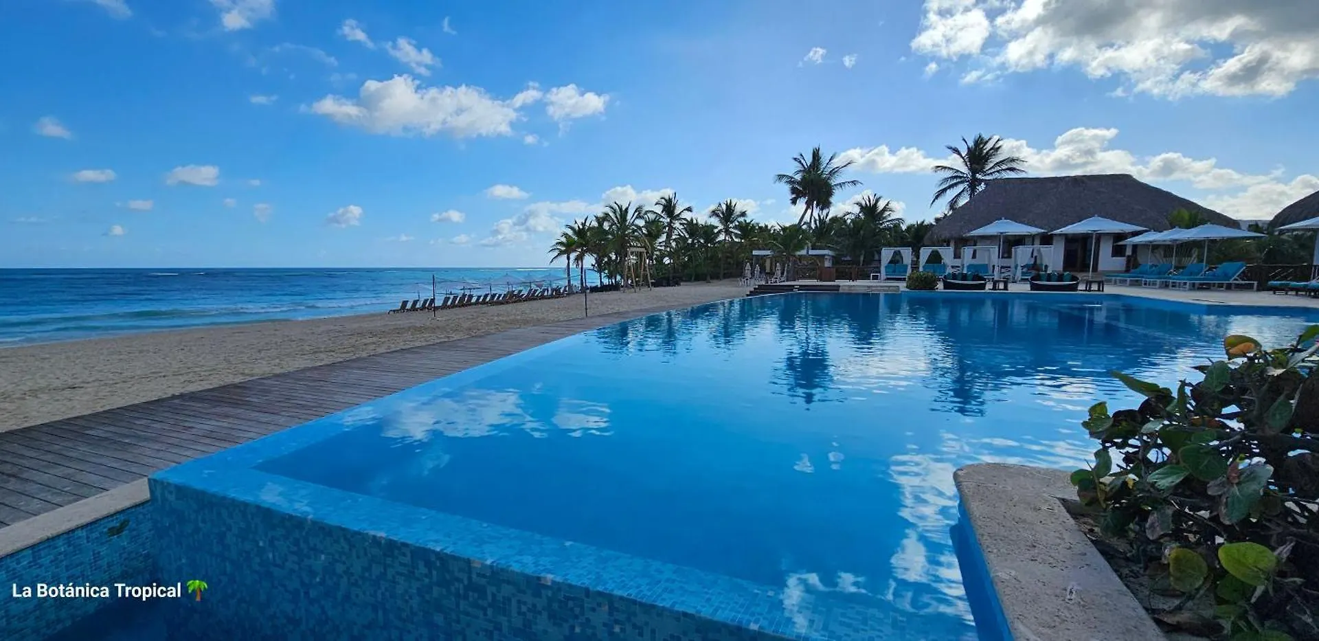 Pensión Luxury House Bungalow&apartments La Botánica Tropical Punta Cana República Dominicana