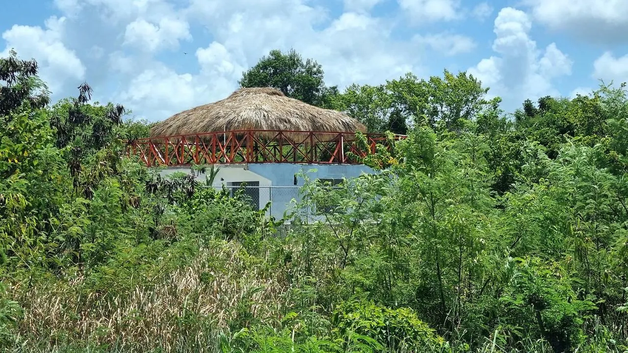 Unique And Quiet Apartments La Botanica Tropical Punta Cana Guest house